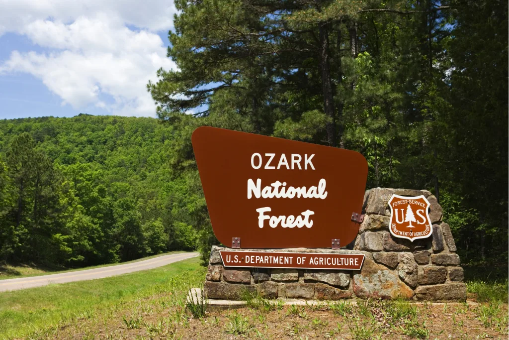 A brown and white sign reading Ozark National Forest stands beside a road with trees and green hills in the background under a partly cloudy sky. The sign includes a U.S. Department of Agriculture emblem.