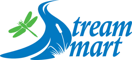 A blue stream flows beside a green dragonfly and a cattail, forming the stylized words stream smart in blue text.