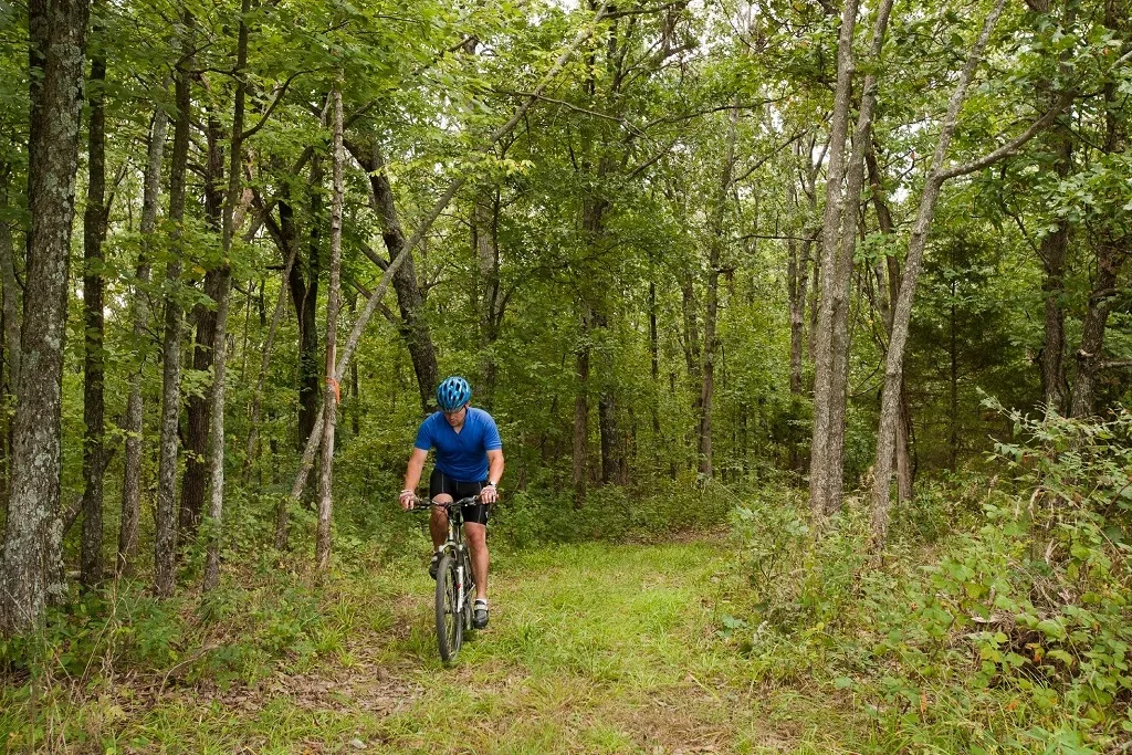 A person wearing a blue shirt and helmet rides a bicycle along a grassy path through a dense green forest, surrounded by tall trees and foliage.