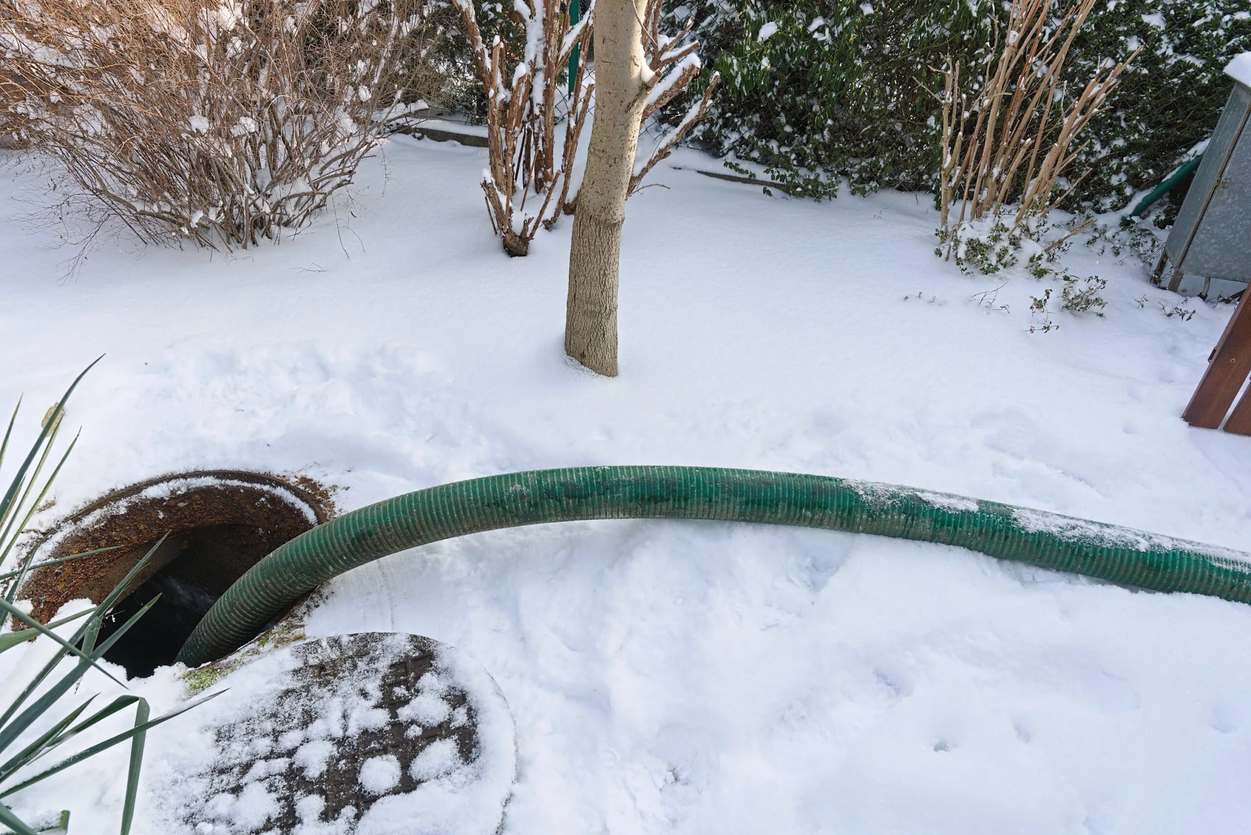 A green hose extends from an open septic tank in a snow-covered yard surrounded by trees and bushes.